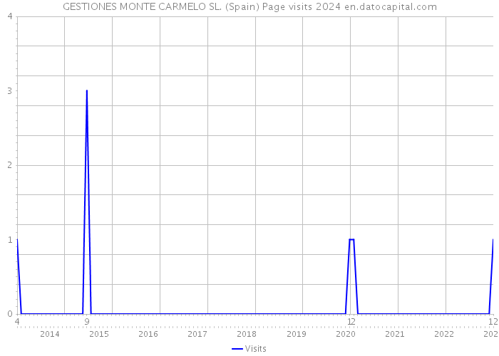 GESTIONES MONTE CARMELO SL. (Spain) Page visits 2024 
