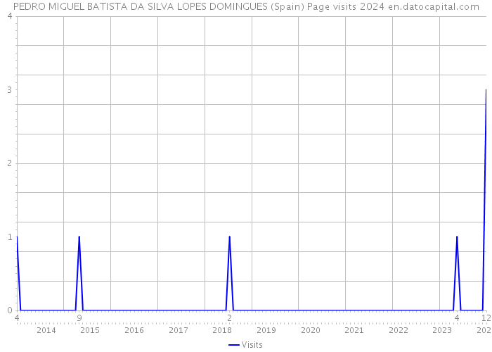 PEDRO MIGUEL BATISTA DA SILVA LOPES DOMINGUES (Spain) Page visits 2024 