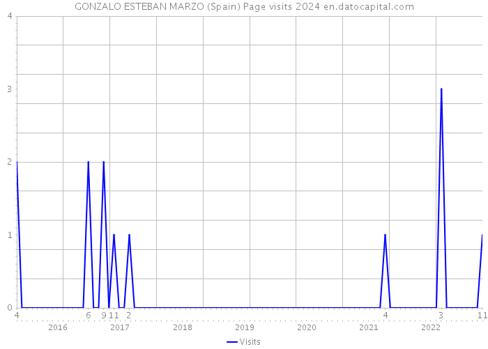 GONZALO ESTEBAN MARZO (Spain) Page visits 2024 