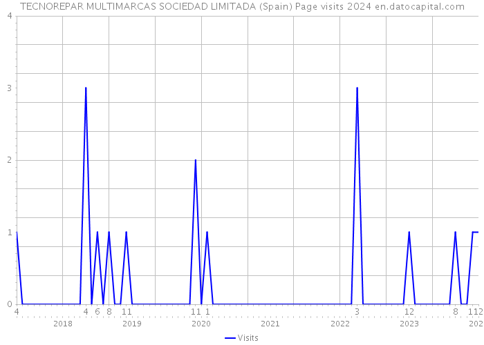 TECNOREPAR MULTIMARCAS SOCIEDAD LIMITADA (Spain) Page visits 2024 