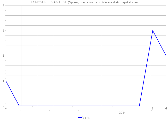 TECNOSUR LEVANTE SL (Spain) Page visits 2024 