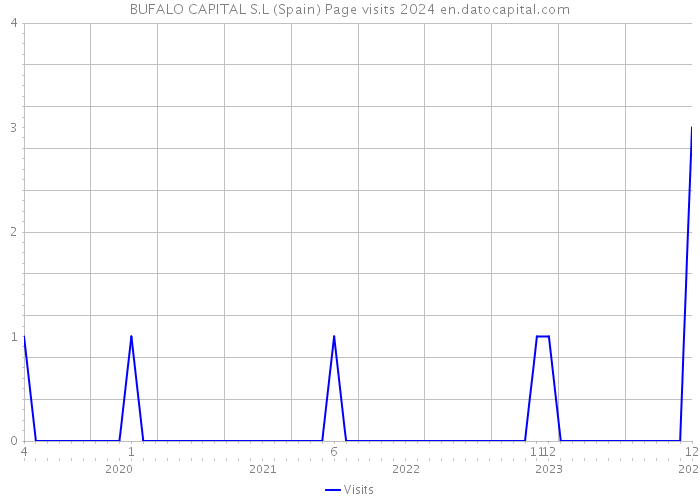 BUFALO CAPITAL S.L (Spain) Page visits 2024 
