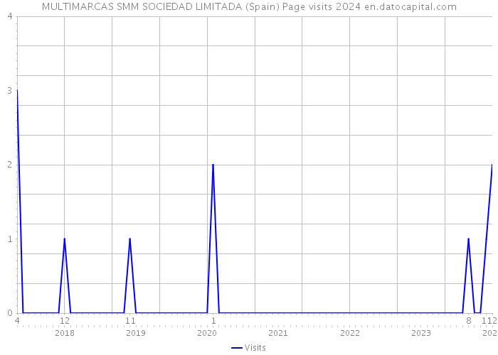 MULTIMARCAS SMM SOCIEDAD LIMITADA (Spain) Page visits 2024 