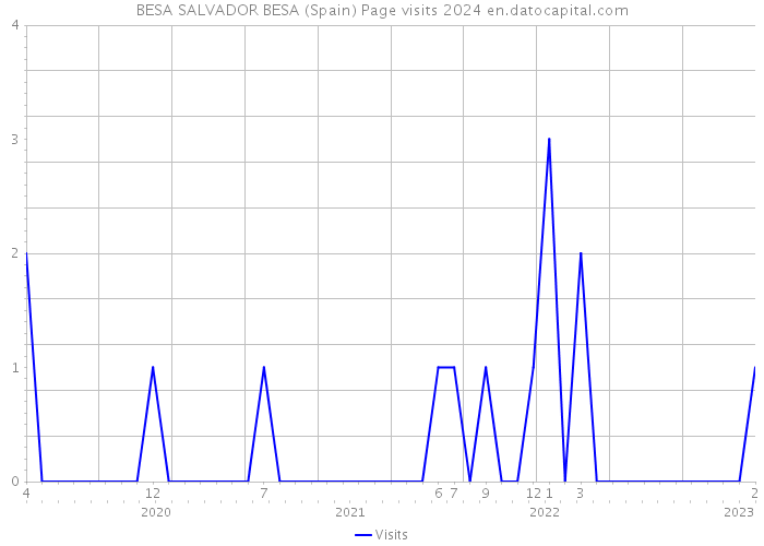 BESA SALVADOR BESA (Spain) Page visits 2024 