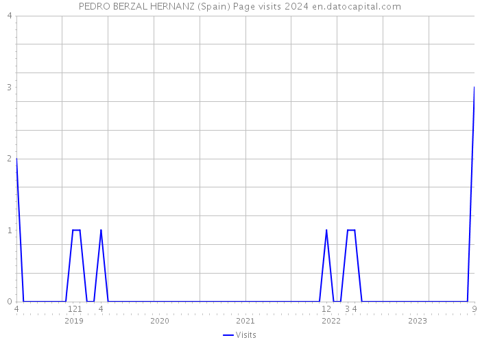 PEDRO BERZAL HERNANZ (Spain) Page visits 2024 