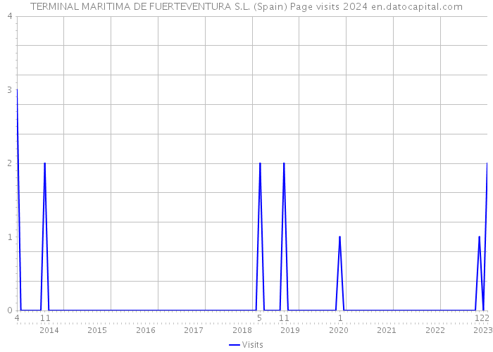 TERMINAL MARITIMA DE FUERTEVENTURA S.L. (Spain) Page visits 2024 