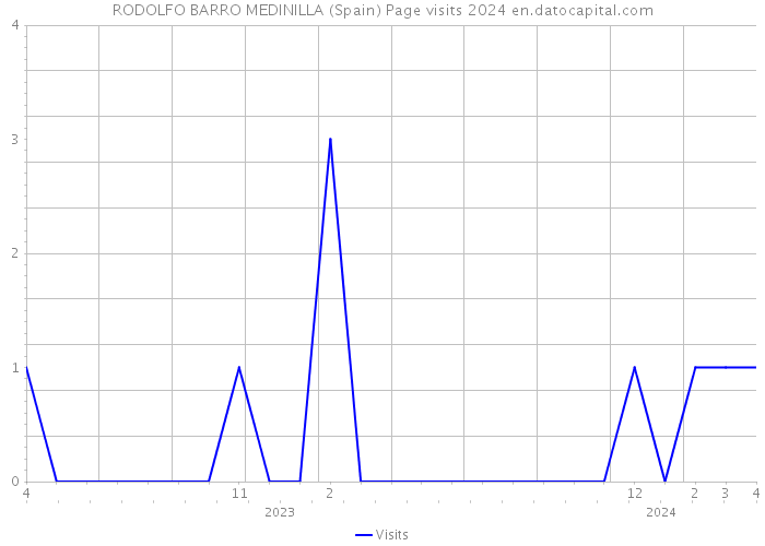 RODOLFO BARRO MEDINILLA (Spain) Page visits 2024 
