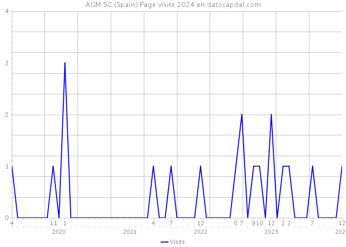 AGM SC (Spain) Page visits 2024 