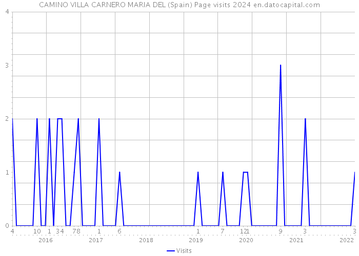 CAMINO VILLA CARNERO MARIA DEL (Spain) Page visits 2024 
