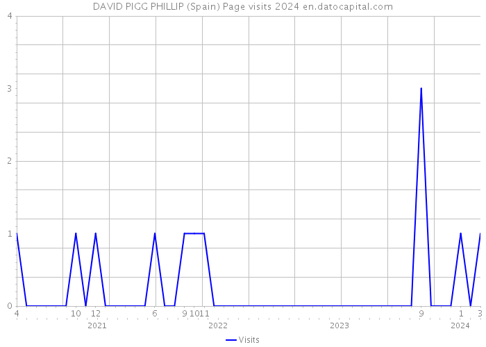 DAVID PIGG PHILLIP (Spain) Page visits 2024 