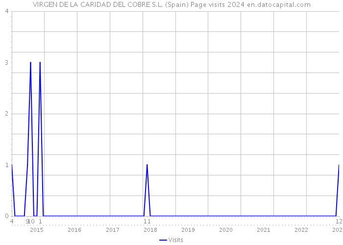 VIRGEN DE LA CARIDAD DEL COBRE S.L. (Spain) Page visits 2024 