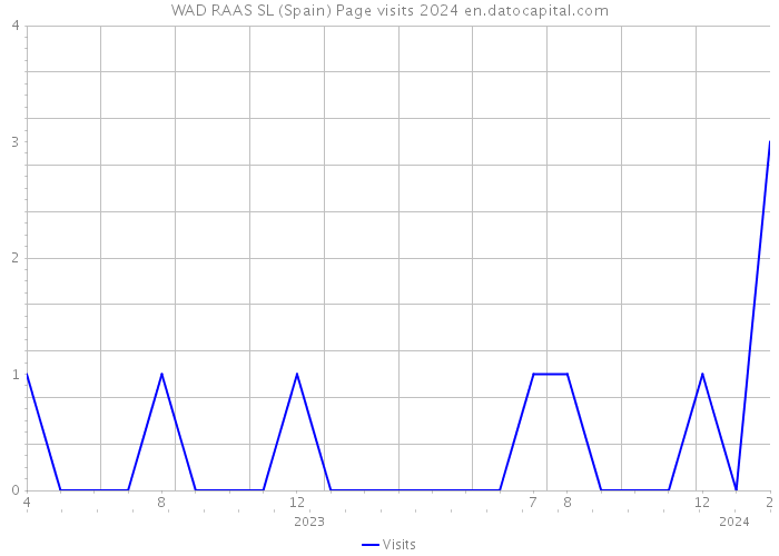 WAD RAAS SL (Spain) Page visits 2024 