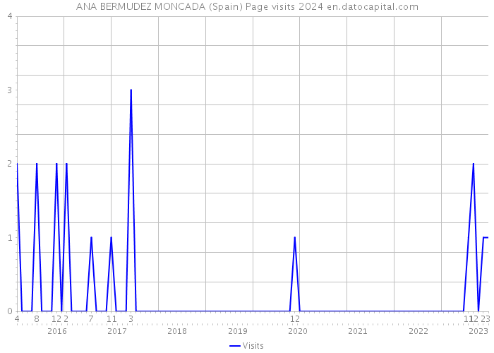 ANA BERMUDEZ MONCADA (Spain) Page visits 2024 