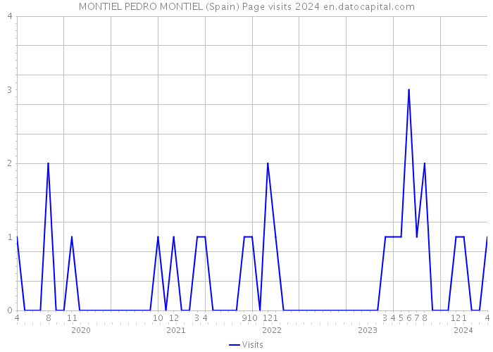 MONTIEL PEDRO MONTIEL (Spain) Page visits 2024 