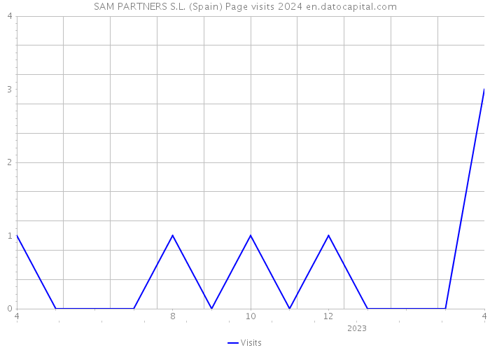 SAM PARTNERS S.L. (Spain) Page visits 2024 