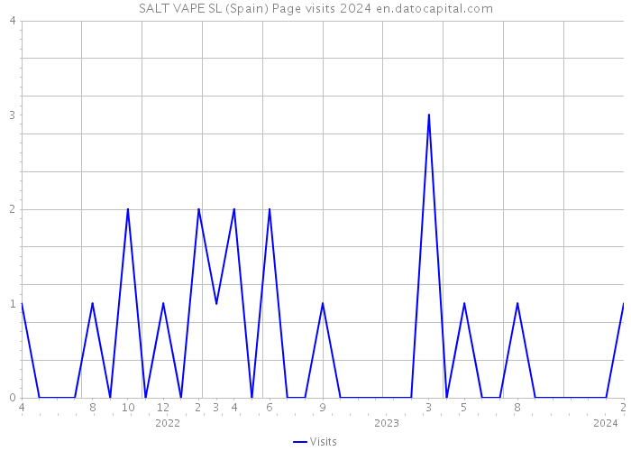 SALT VAPE SL (Spain) Page visits 2024 
