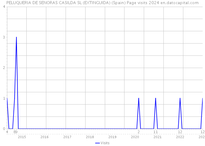 PELUQUERIA DE SENORAS CASILDA SL (EXTINGUIDA) (Spain) Page visits 2024 