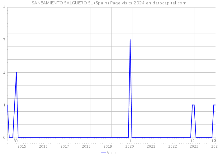 SANEAMIENTO SALGUERO SL (Spain) Page visits 2024 