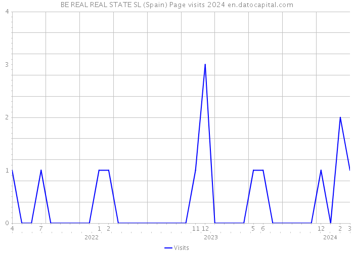 BE REAL REAL STATE SL (Spain) Page visits 2024 