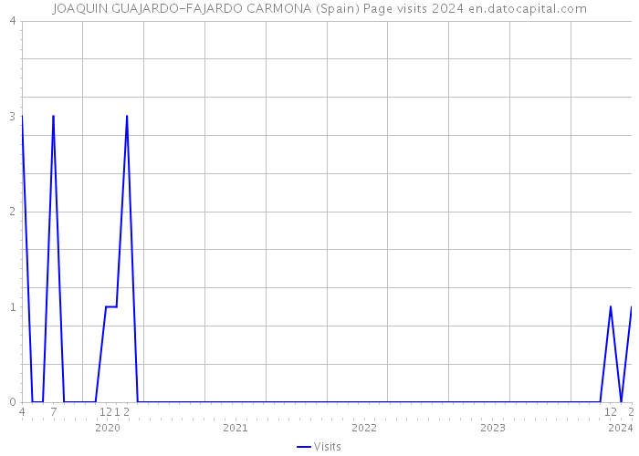 JOAQUIN GUAJARDO-FAJARDO CARMONA (Spain) Page visits 2024 