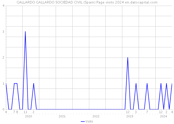 GALLARDO GALLARDO SOCIEDAD CIVIL (Spain) Page visits 2024 