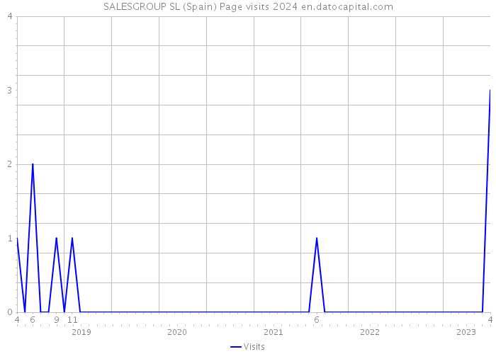 SALESGROUP SL (Spain) Page visits 2024 
