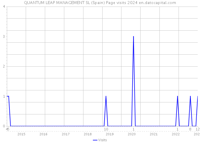 QUANTUM LEAP MANAGEMENT SL (Spain) Page visits 2024 