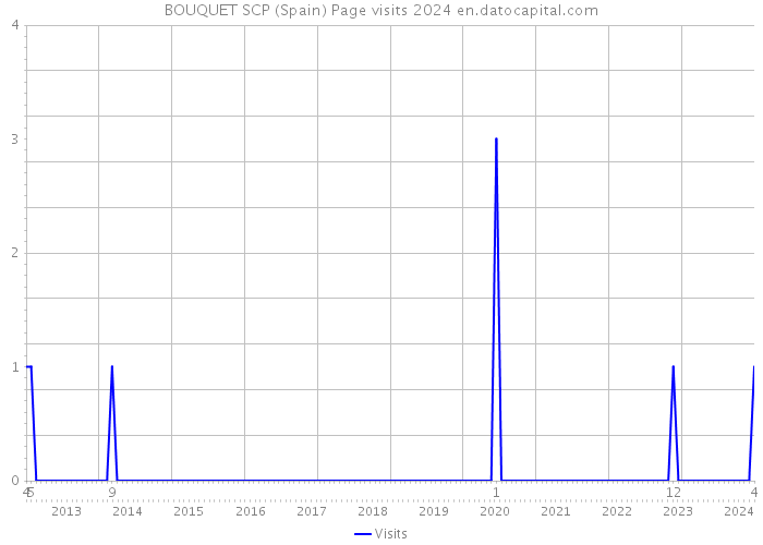 BOUQUET SCP (Spain) Page visits 2024 
