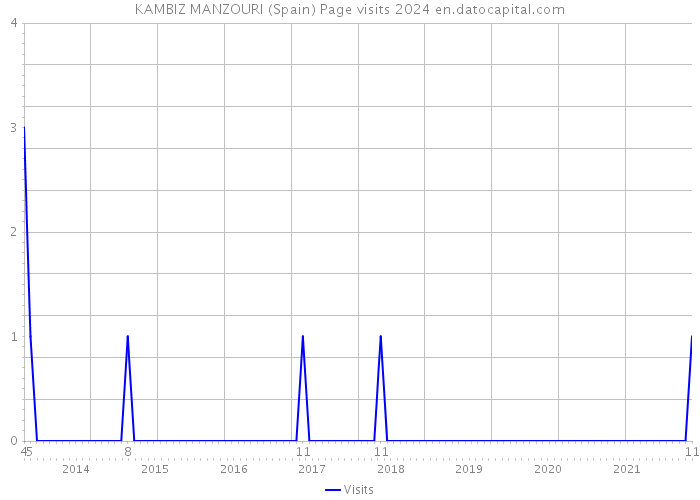 KAMBIZ MANZOURI (Spain) Page visits 2024 