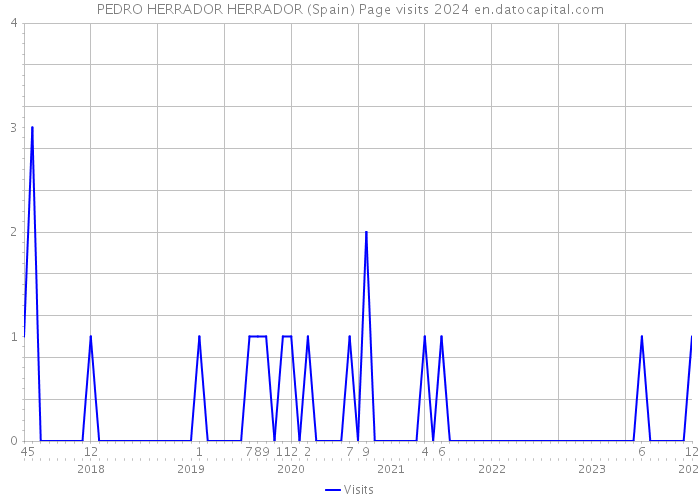 PEDRO HERRADOR HERRADOR (Spain) Page visits 2024 