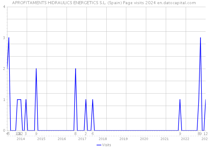 APROFITAMENTS HIDRAULICS ENERGETICS S.L. (Spain) Page visits 2024 