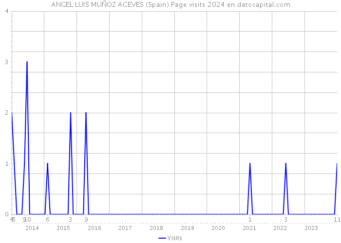 ANGEL LUIS MUÑOZ ACEVES (Spain) Page visits 2024 