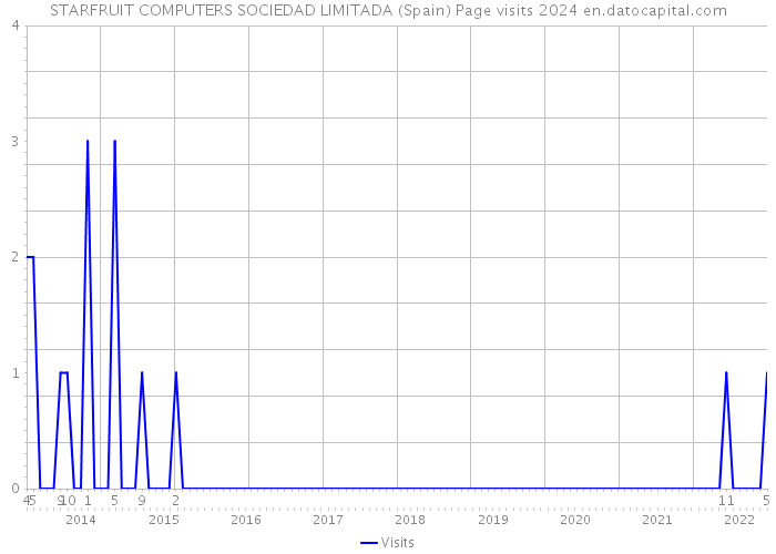 STARFRUIT COMPUTERS SOCIEDAD LIMITADA (Spain) Page visits 2024 
