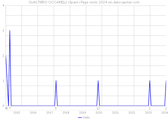 GUALTIERO CICCARELLI (Spain) Page visits 2024 