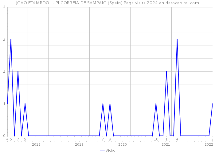 JOAO EDUARDO LUPI CORREIA DE SAMPAIO (Spain) Page visits 2024 