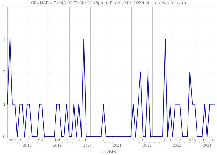 GRANADA TAMAYO TAMAYO (Spain) Page visits 2024 