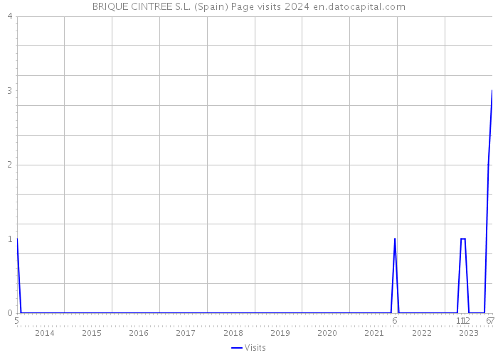 BRIQUE CINTREE S.L. (Spain) Page visits 2024 