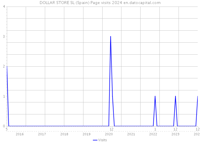 DOLLAR STORE SL (Spain) Page visits 2024 