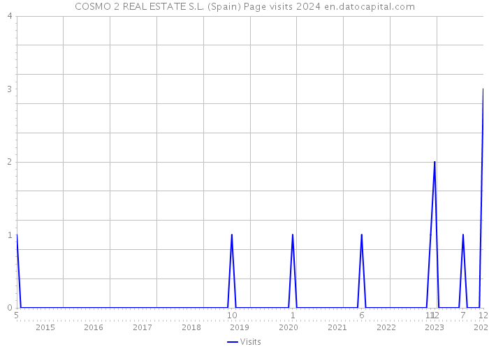 COSMO 2 REAL ESTATE S.L. (Spain) Page visits 2024 