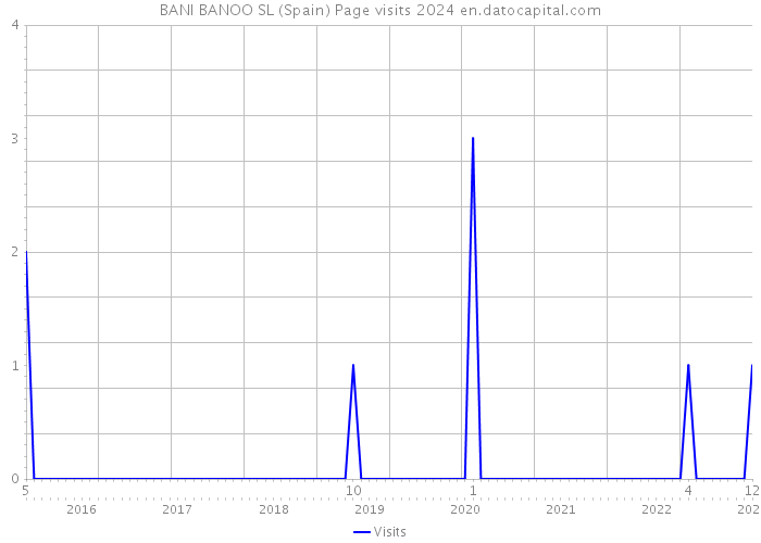 BANI BANOO SL (Spain) Page visits 2024 