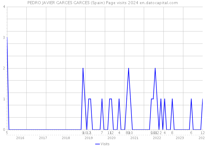 PEDRO JAVIER GARCES GARCES (Spain) Page visits 2024 