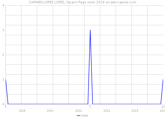 CARMEN LOPEZ LOPEZ, (Spain) Page visits 2024 