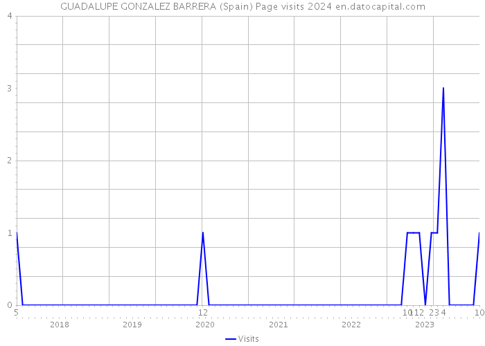 GUADALUPE GONZALEZ BARRERA (Spain) Page visits 2024 