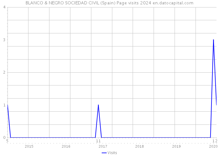 BLANCO & NEGRO SOCIEDAD CIVIL (Spain) Page visits 2024 