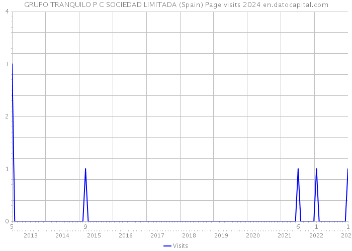 GRUPO TRANQUILO P C SOCIEDAD LIMITADA (Spain) Page visits 2024 