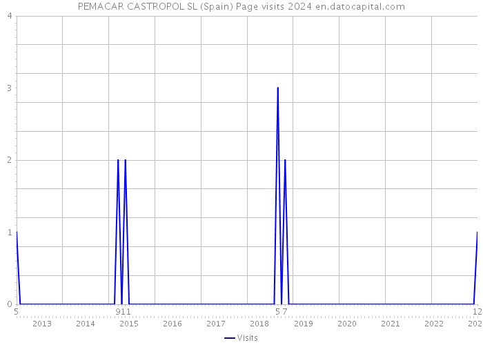 PEMACAR CASTROPOL SL (Spain) Page visits 2024 
