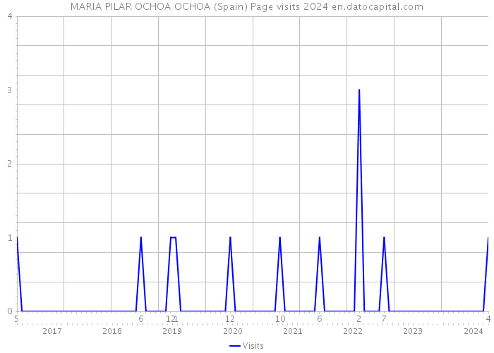 MARIA PILAR OCHOA OCHOA (Spain) Page visits 2024 