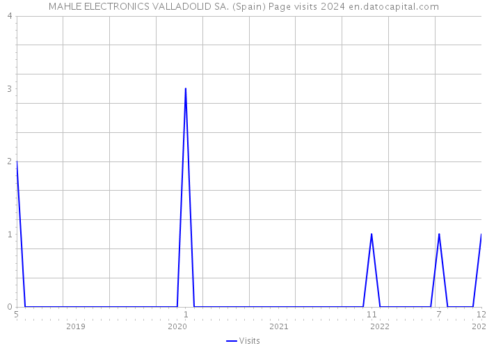 MAHLE ELECTRONICS VALLADOLID SA. (Spain) Page visits 2024 