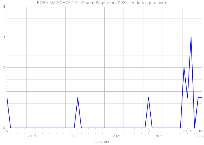 RORAIMA SOHO12 SL (Spain) Page visits 2024 