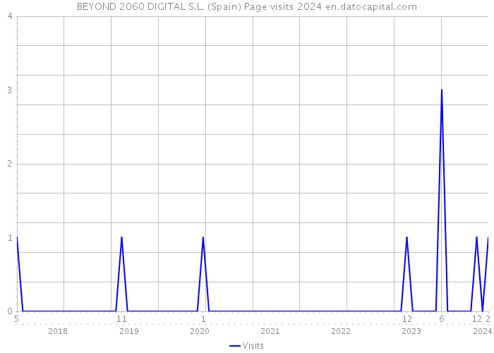 BEYOND 2060 DIGITAL S.L. (Spain) Page visits 2024 